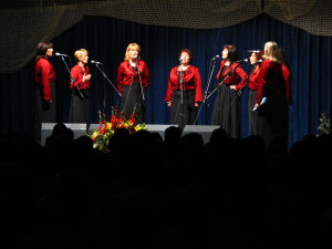 Dalmatinci2009_13