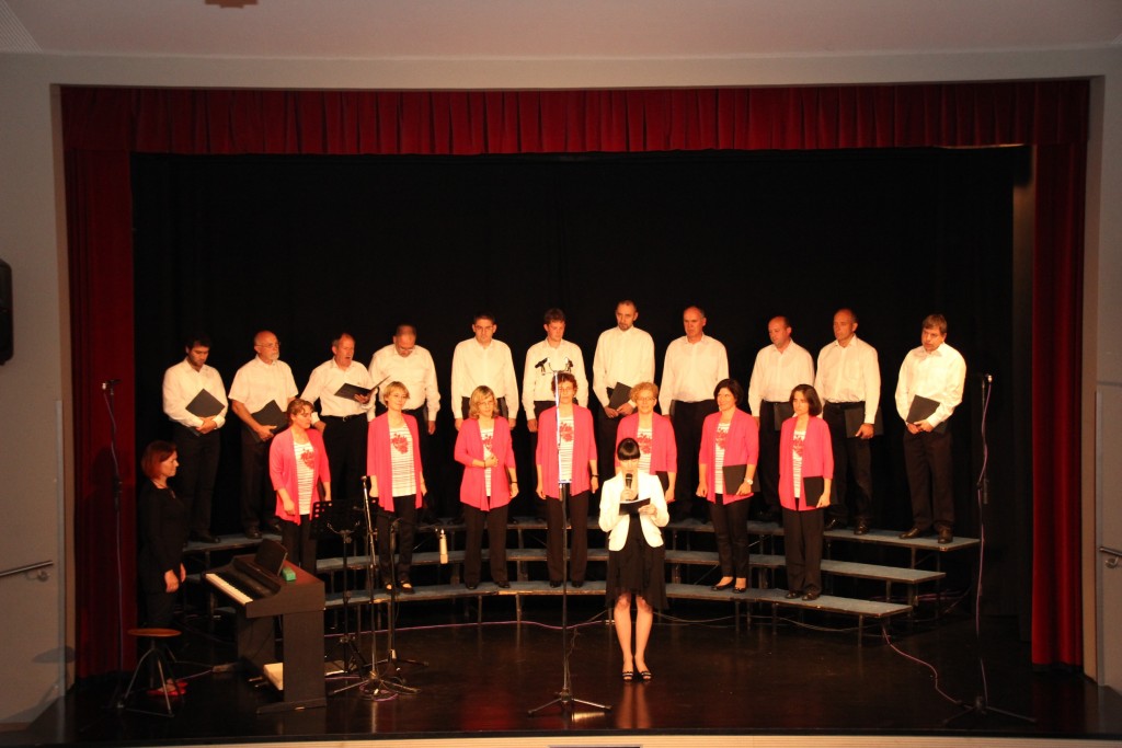 Koncert v Mladinskem centru Vrtojba 26052013 (2)