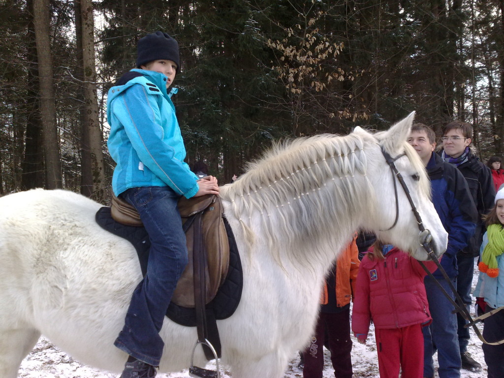 Z-Mojstrana-12-2008